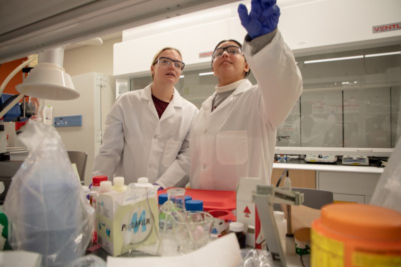 students work in chemical engineering laboratory